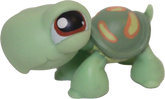 #0119 Turtle