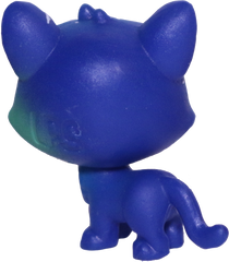 #3-6 Mini Kitten "Asteroid Tortiecat"