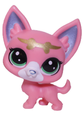 No # Chihuahua "Bellina"