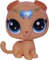 No # Fold Cat "Arturo"