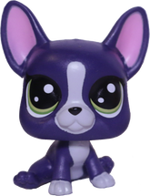 No # French Bulldog "Abner"