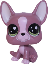 No # French Bulldog "Morning Dew"