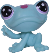 No # Frog "Midnight"