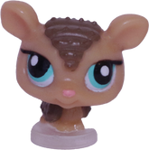 #T?? Teensiest Armadillo