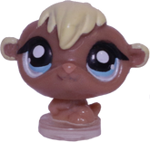 #T?? Teensiest Hamster