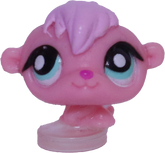 #T?? Teensiest Hamster