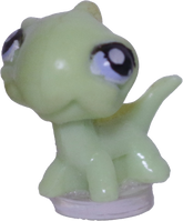 #T?? Teensiest Iguana