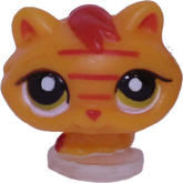 #T?? Teensiest Kitten