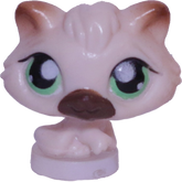 #T?? Teensiest Kitten