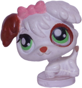 #T?? Teensiest Poodle