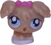 #T?? Teensiest Poodle