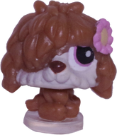 #T26 Teensiest Sheepdog