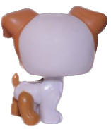 #1093 Jack Russell