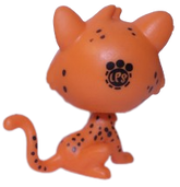 #3886 Leopard "Chad Chalmers"