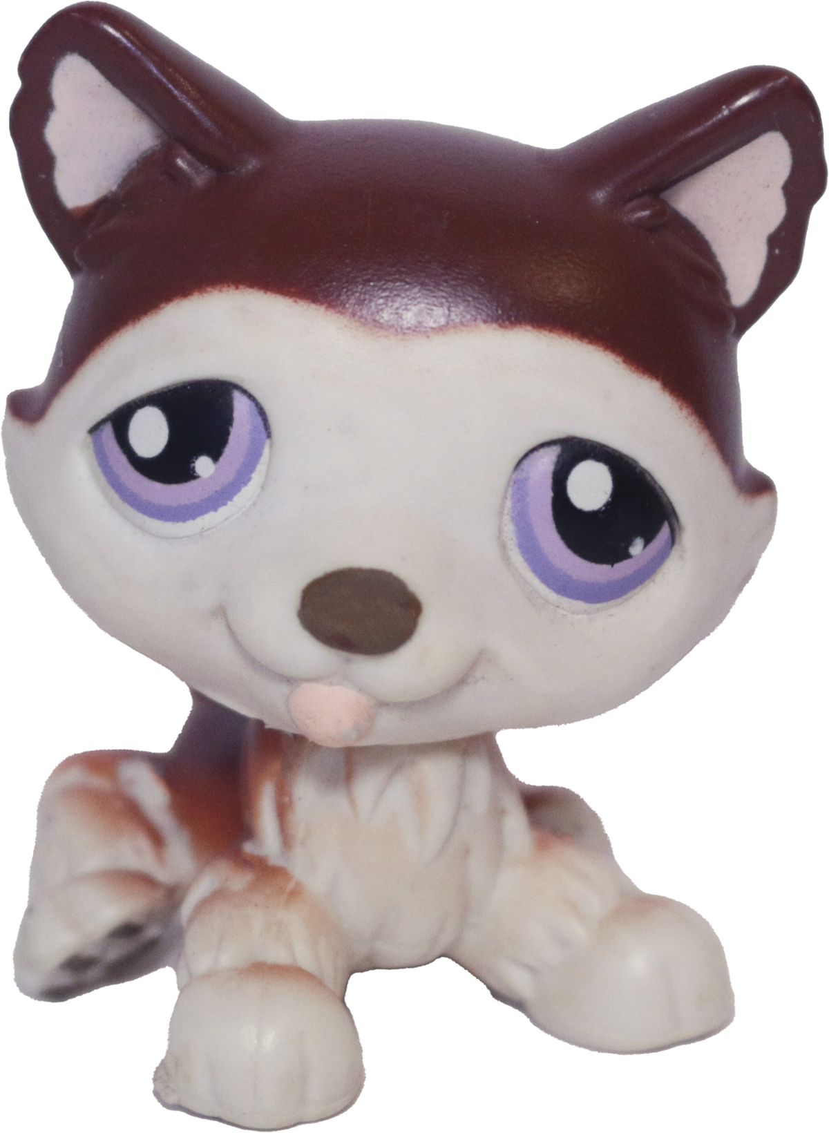 LPS #427 Husky 🐾 Authentic LPS at Littlest Brainrot