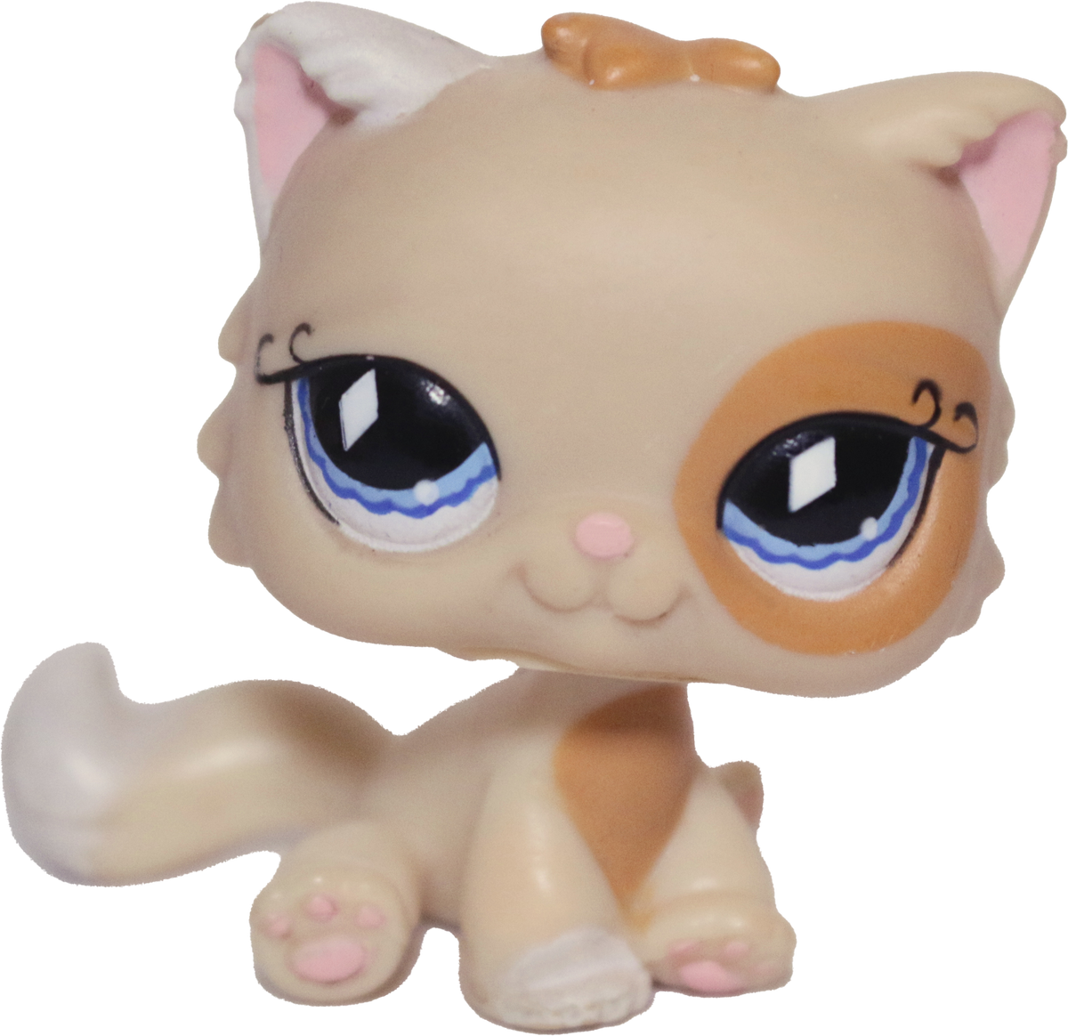 Sitting top cat lps