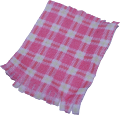 Fabric Picnic Blanket