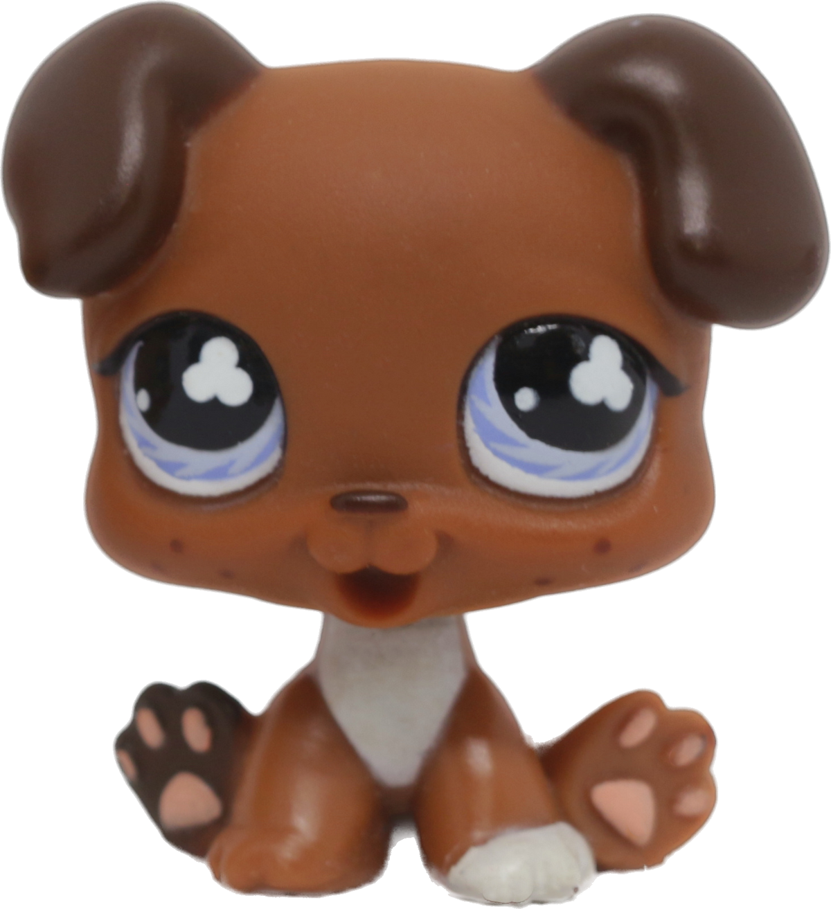 Lps boxer puppy online