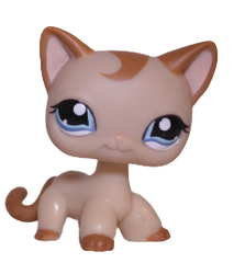 Lps shorthair online cat 1024