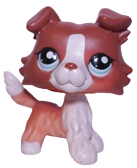 Lps red collie 1542 2025