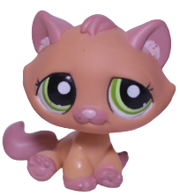 #1710 Sitting Bonbon Cat