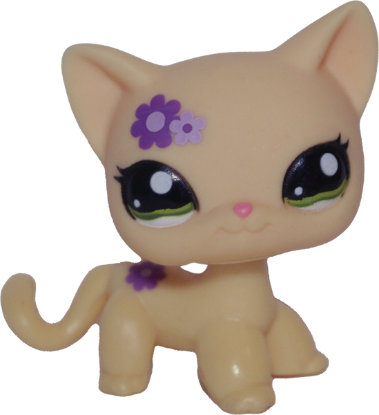 Lps png shorthair deals cat