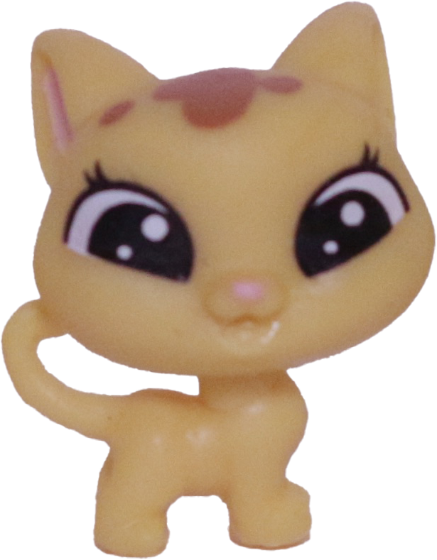 #2-84 Teensy Kitten "Catalina Scrapper"