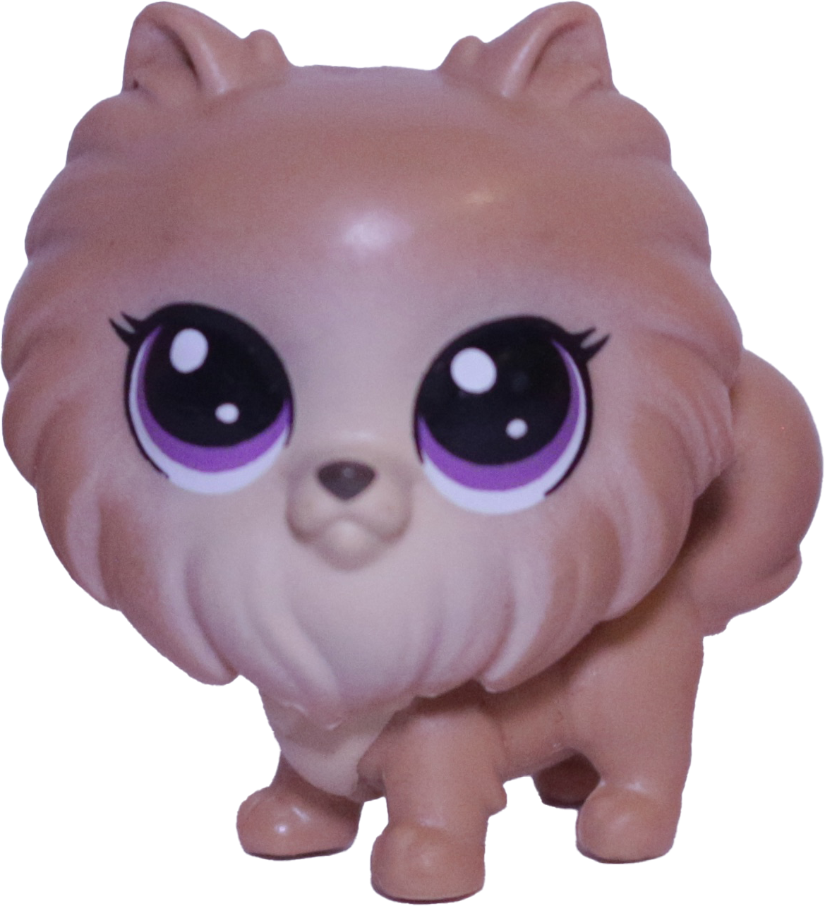 #2-90 Mini Pomeranian "Sweetie Pom-Pom"