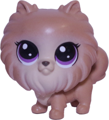 #2-90 Mini Pomeranian "Sweetie Pom-Pom"