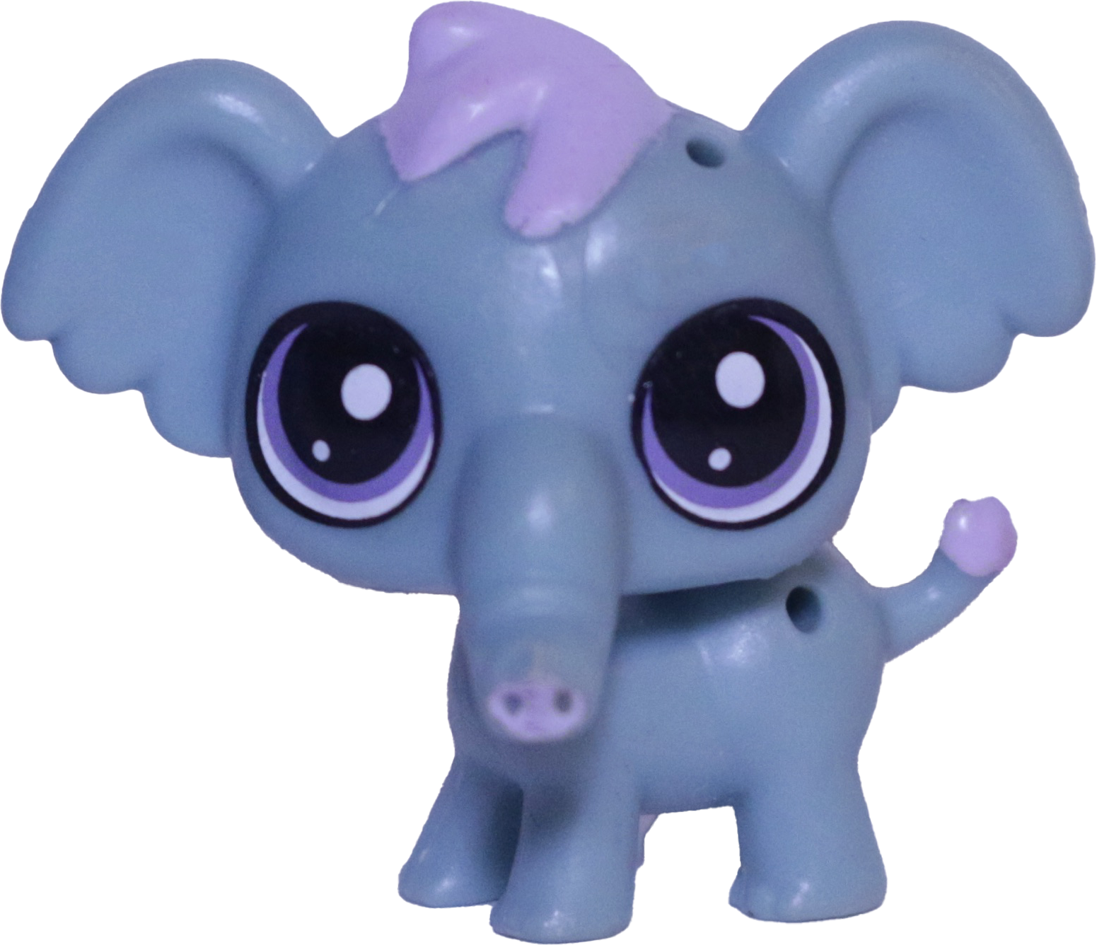 #334 Mini Elephant "Malik Greystone"