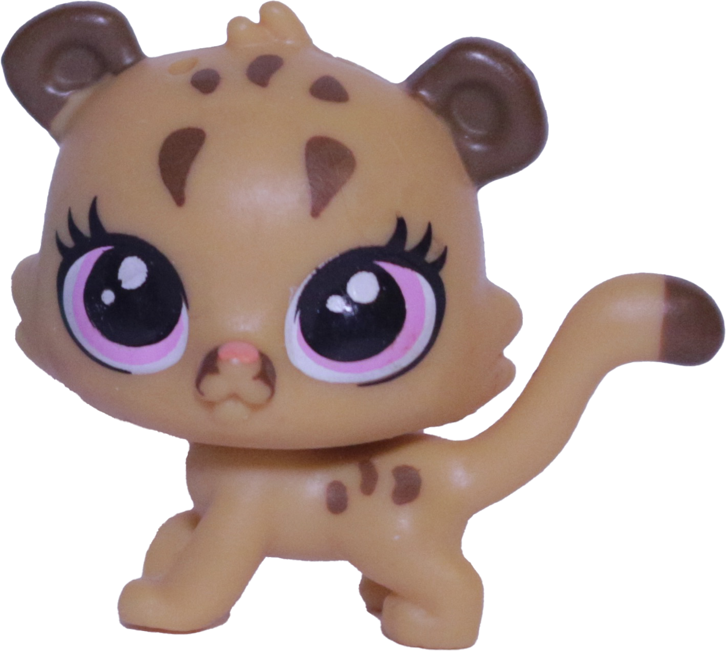 #36 Mini Cougar Kitten "Cubby Cougar"