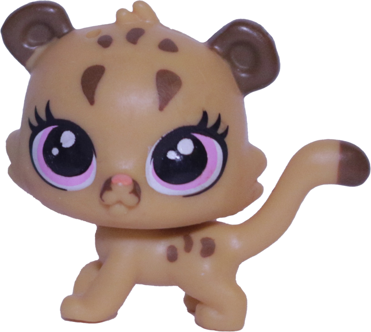 #36 Mini Cougar Kitten "Cubby Cougar"
