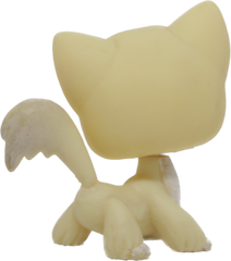 #0364 Angora Longhair Cat