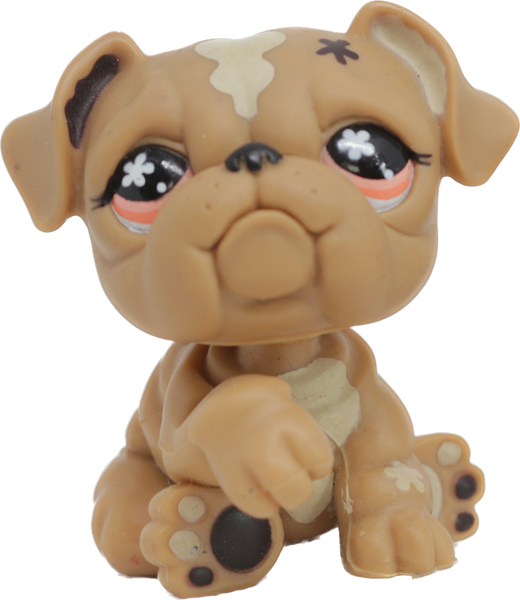 リトルドック114 Buy Window Link Kit Adjustable ZX-14R (06-25) SKU: 240278 at