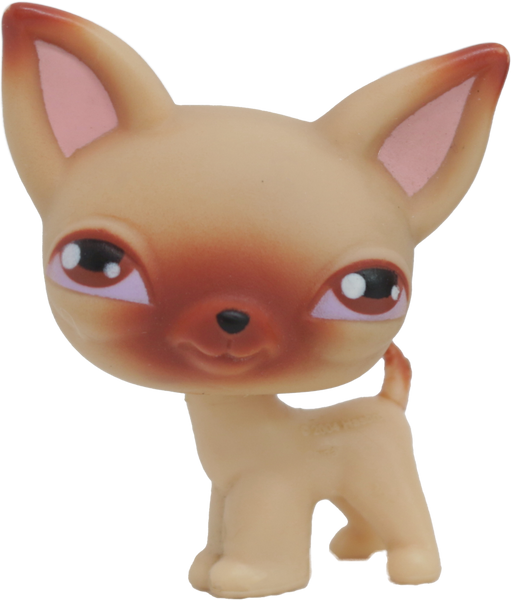 LPS #1 Chihuahua 🐾 Authentic LPS at Littlest Brainrot