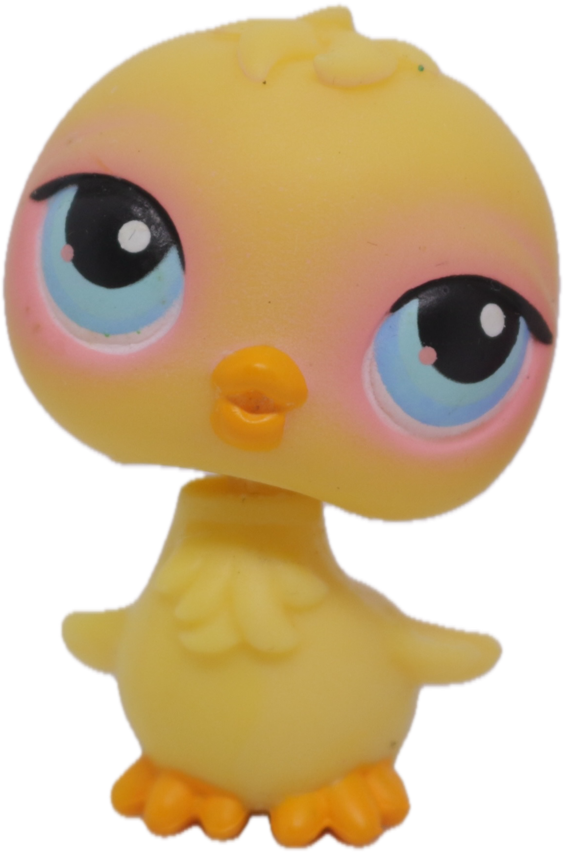 #0013 Chick