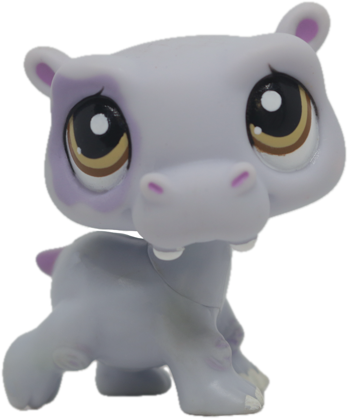 LPS #1449 Hippo