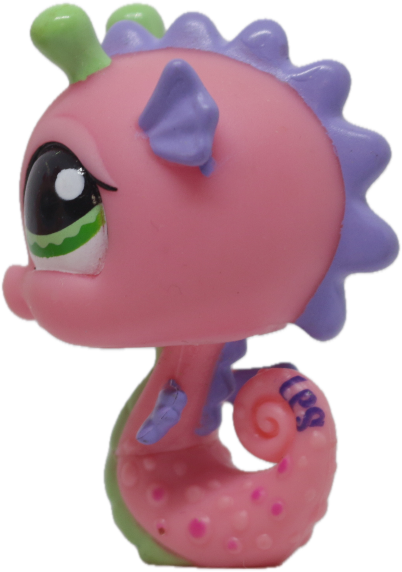 LPS #0705 Seahorse