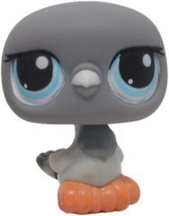 LPS #0356 Pigeon