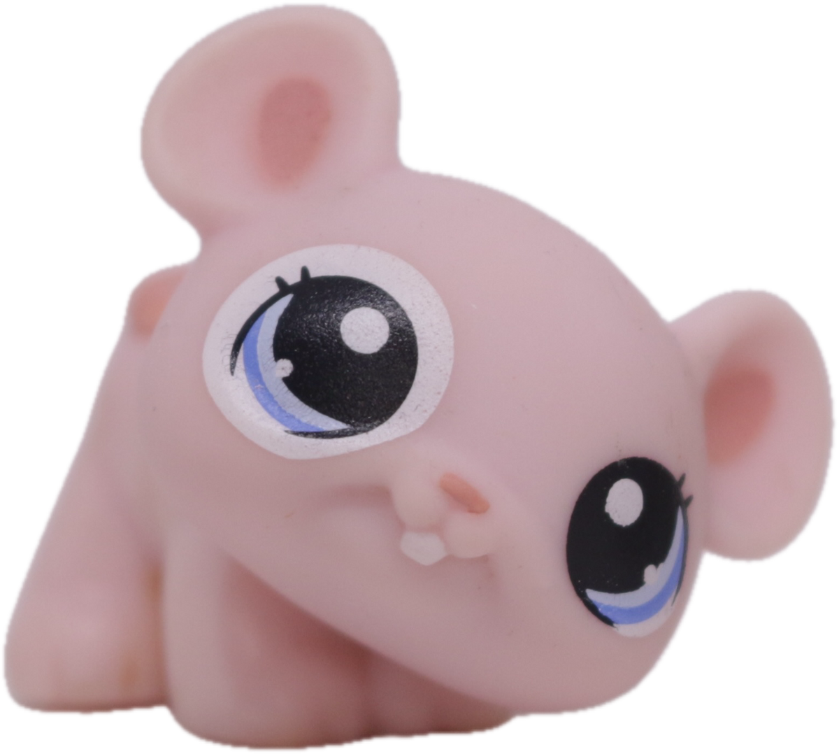 LPS #1371 Mouse