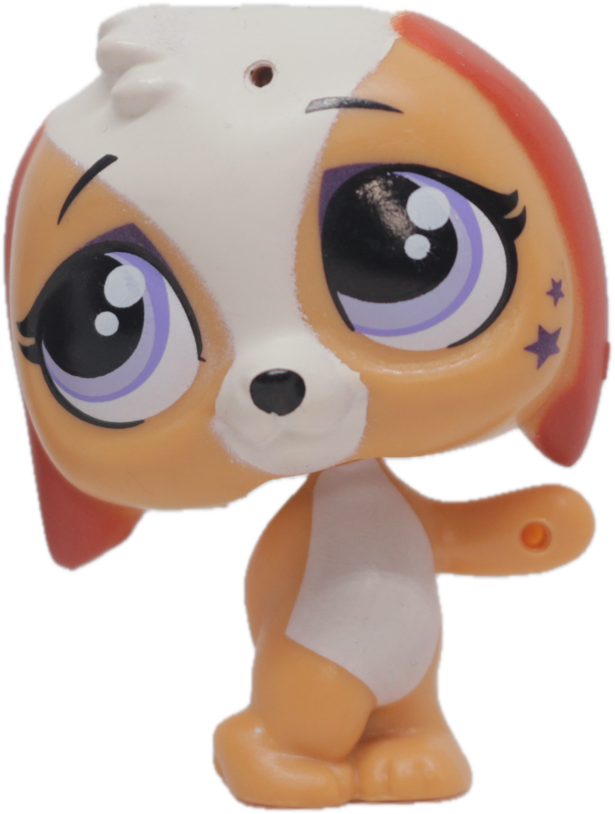 LPS #3837 Beagle