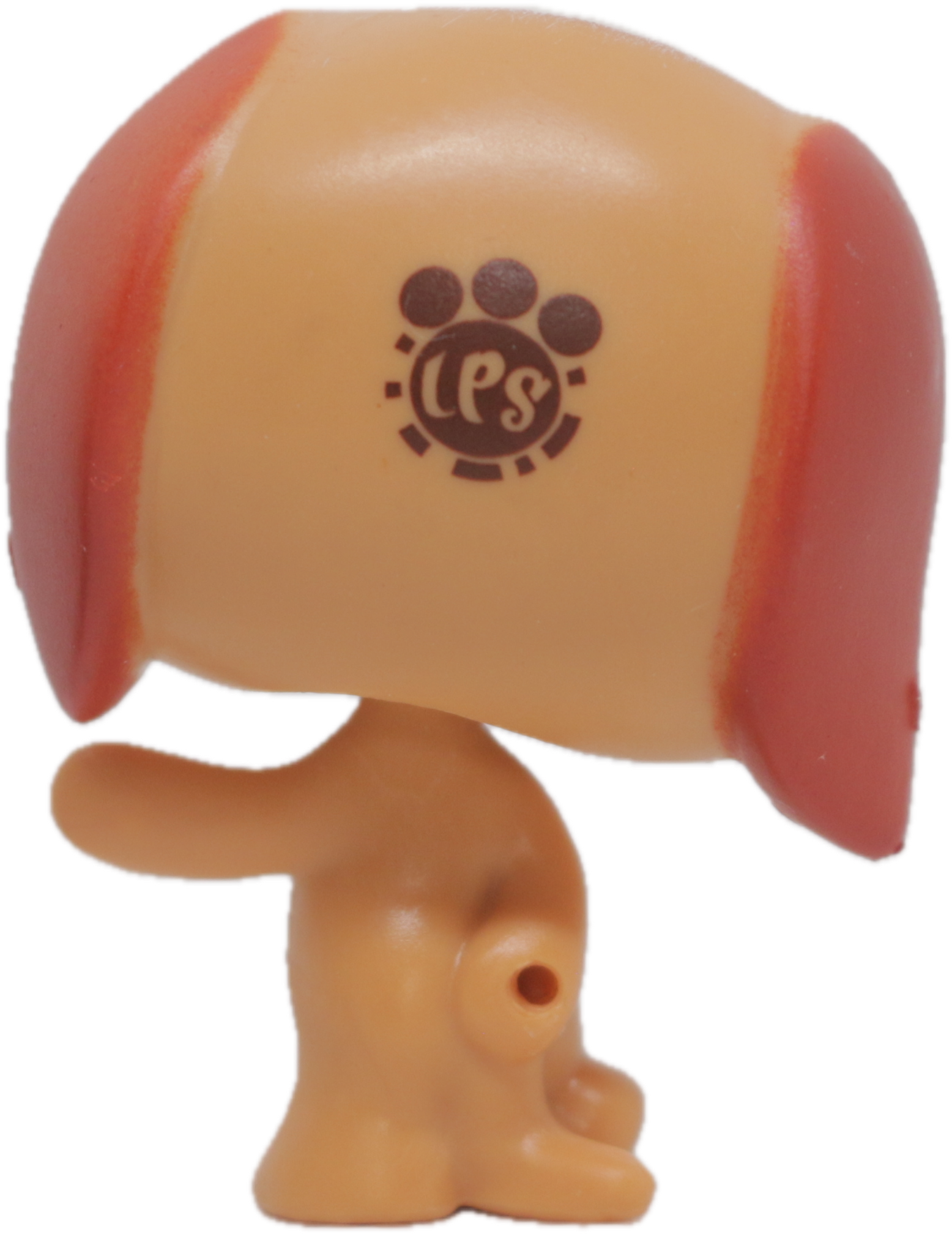 LPS #3837 Beagle