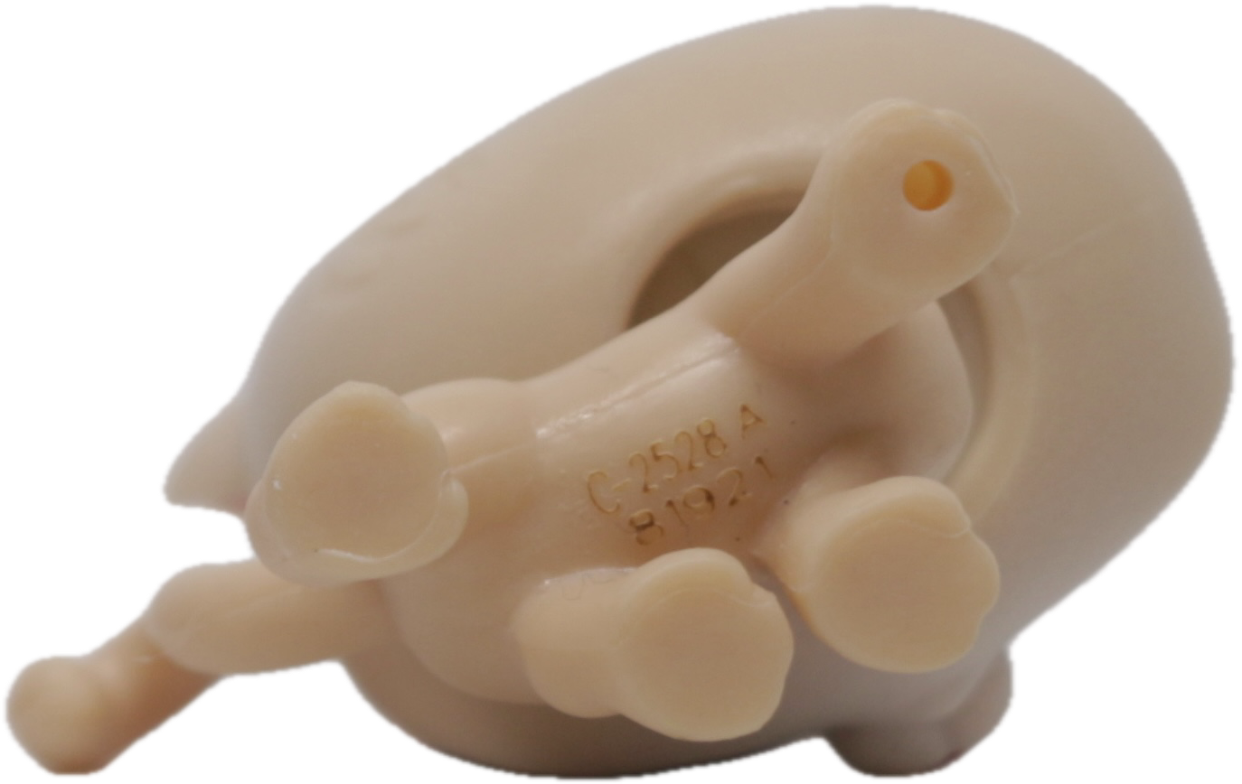 LPS #3-76 Shorthair Cat