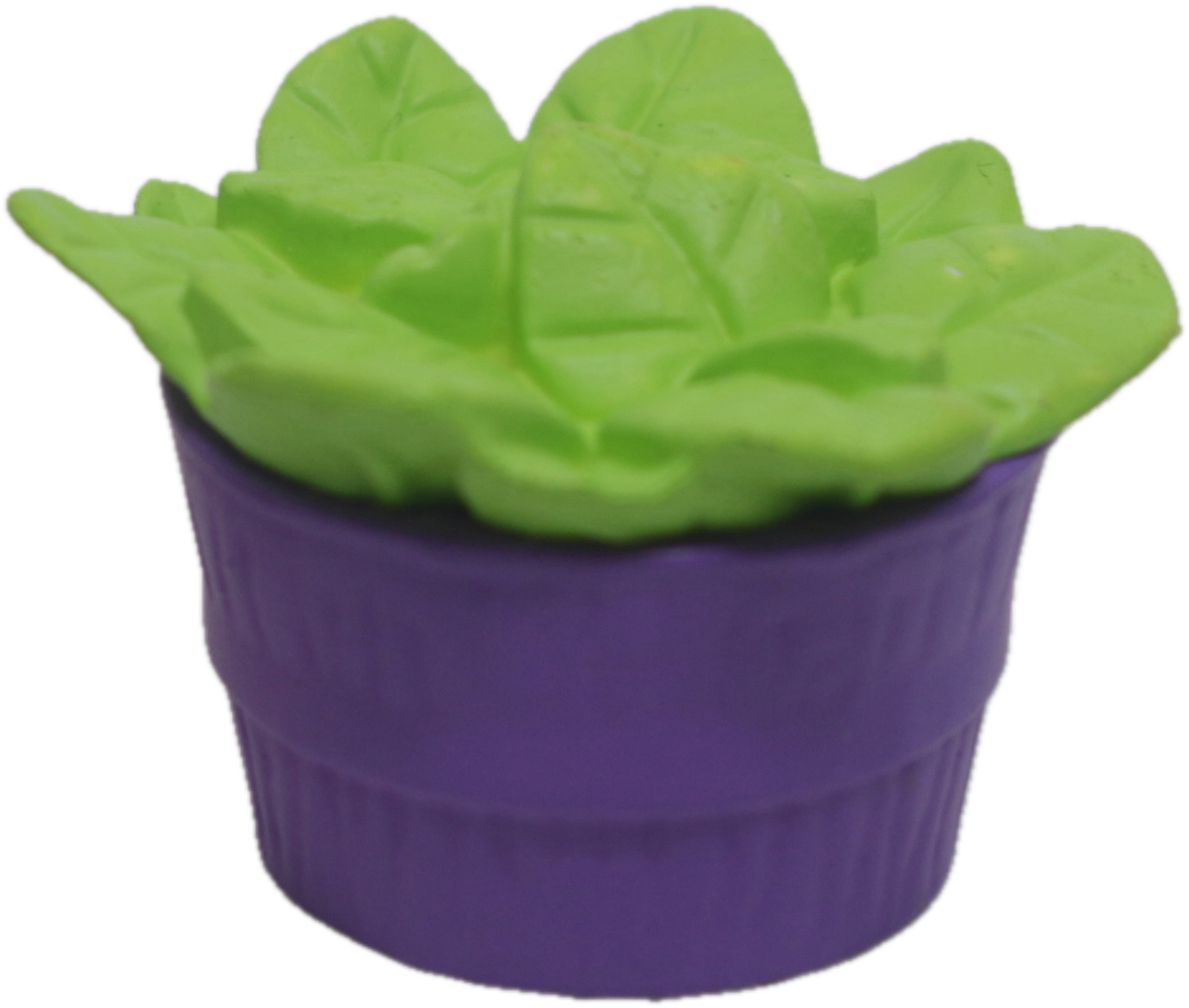 Plant Pot