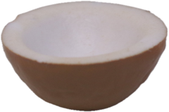 Coconut Bowl