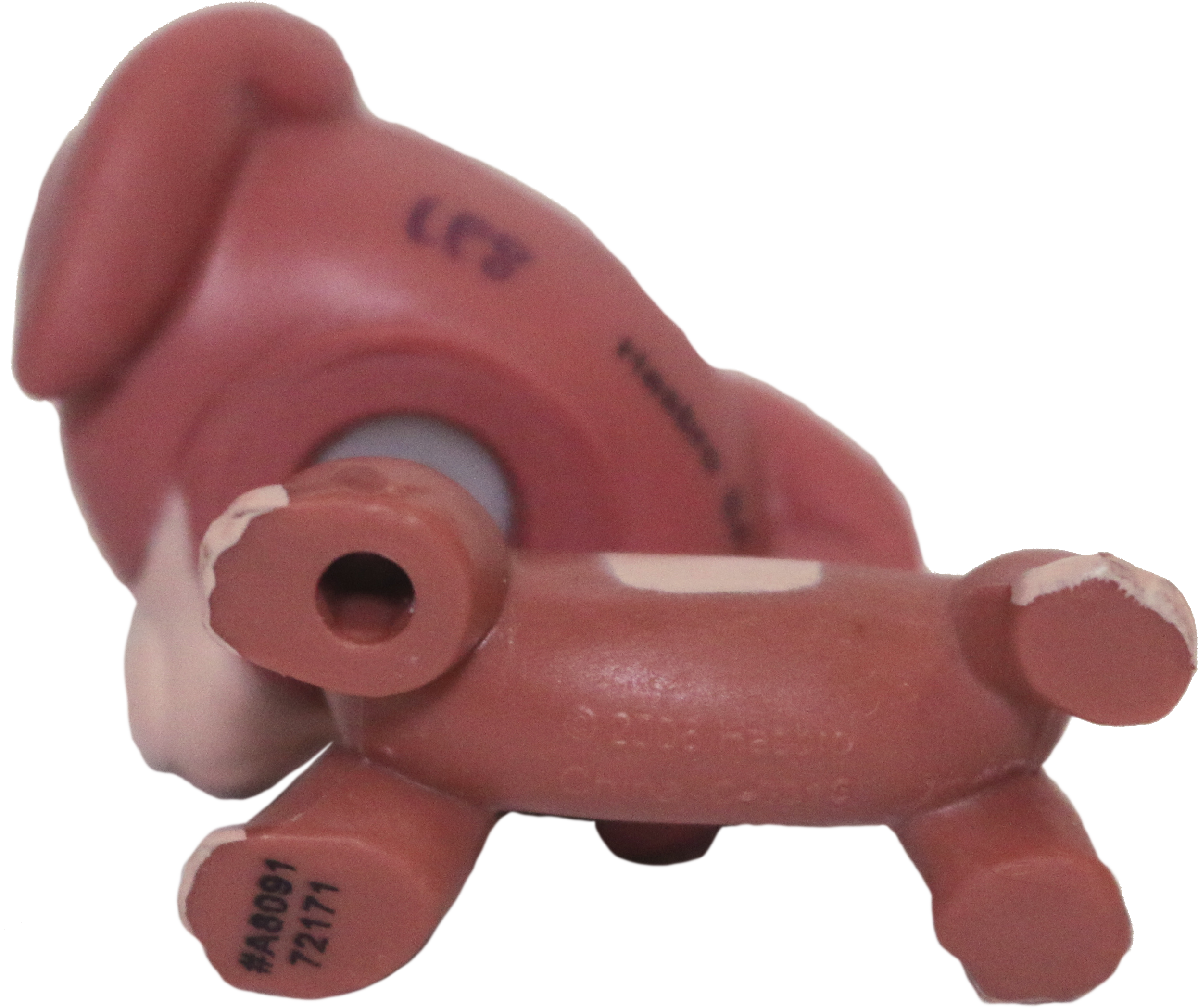 Lps 2024 dachshund 3601