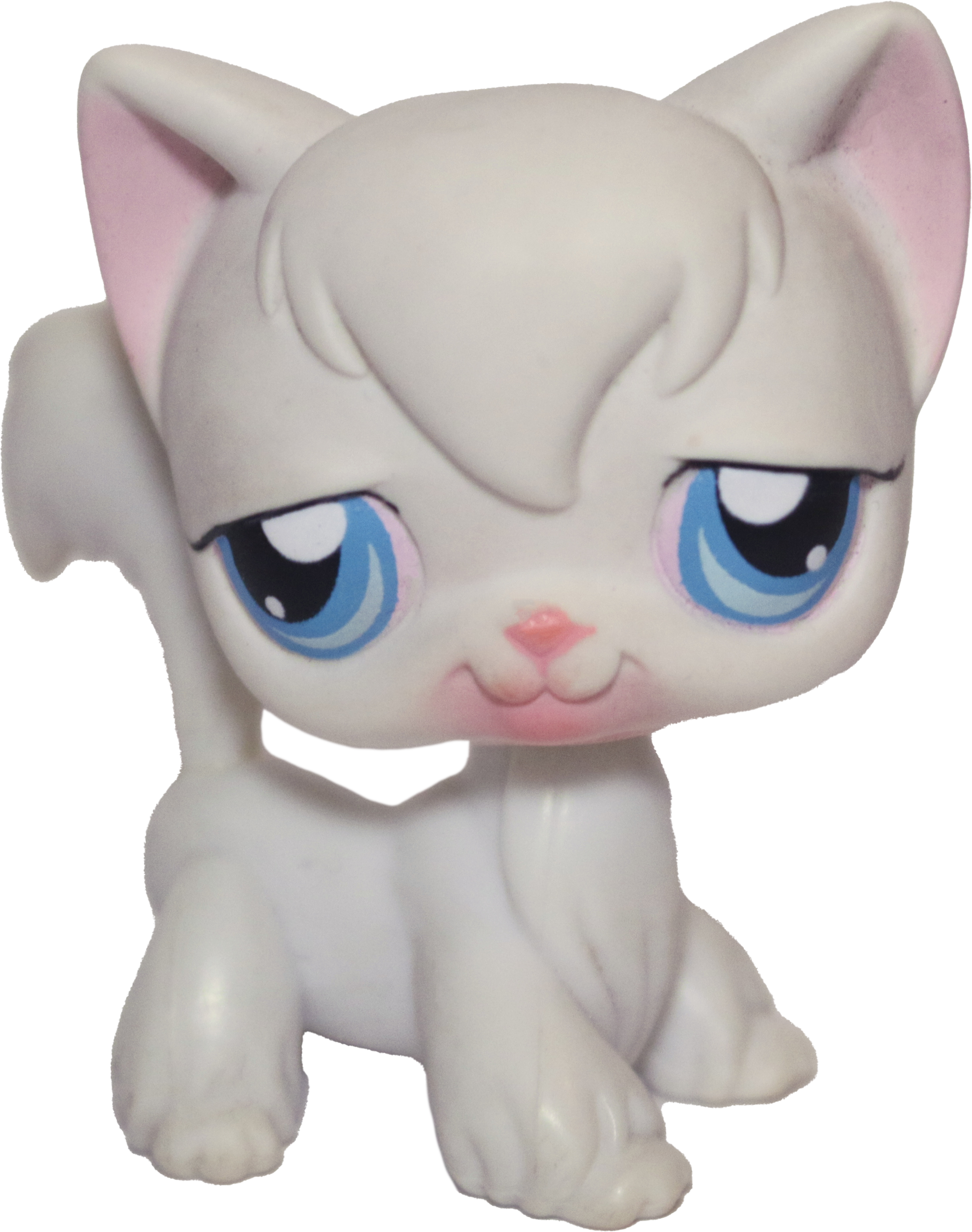 #0009 Angora Longhair Cat