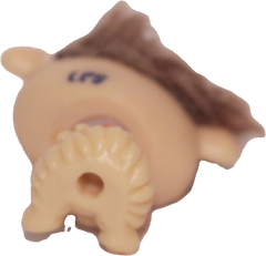 #2488 Guinea Pig