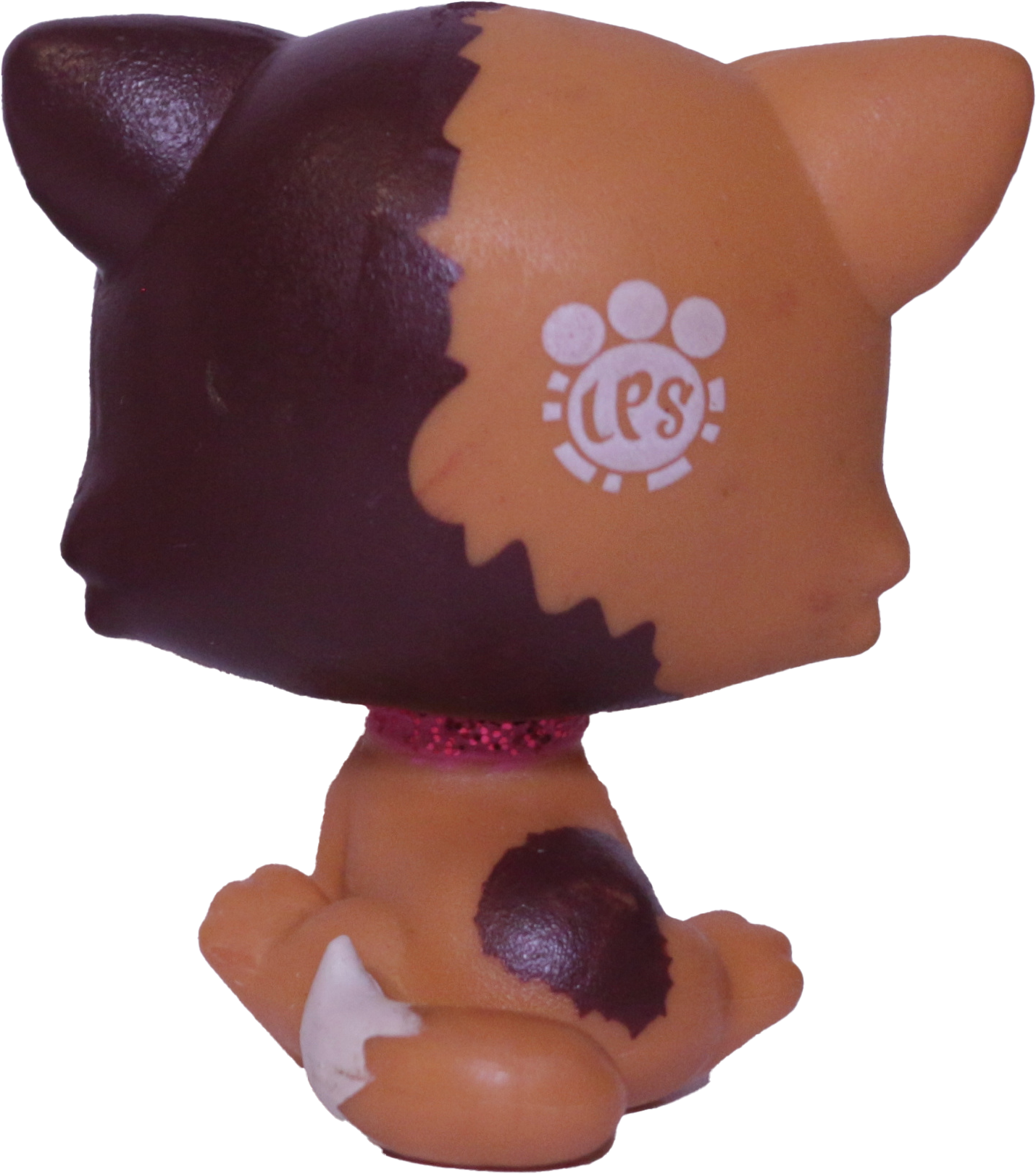 Lps 339 felina 2024 meow