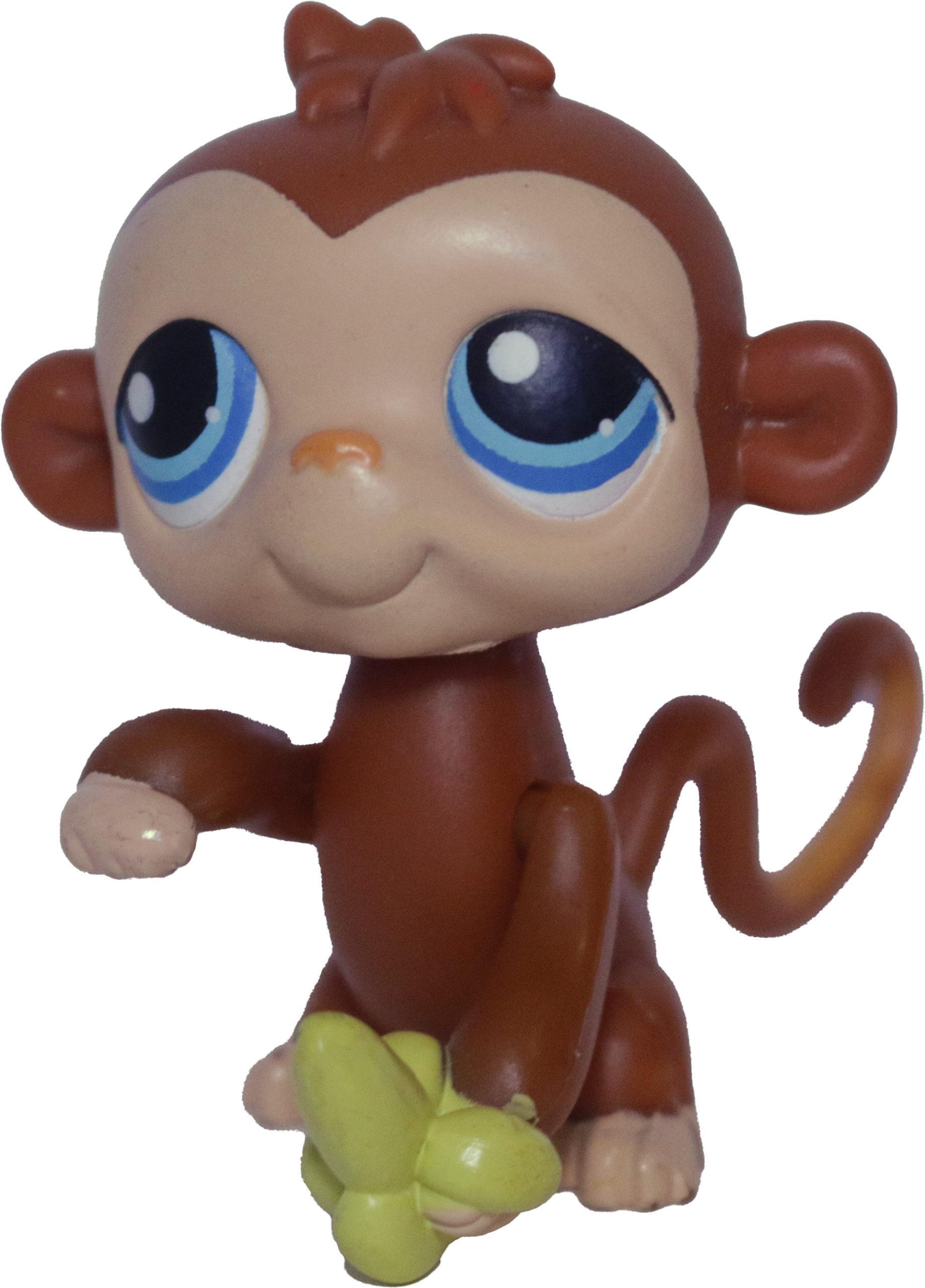 #PP2 Monkey